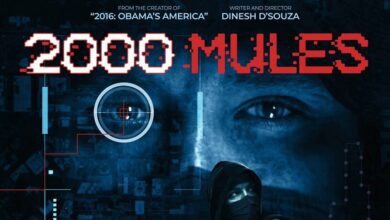 Documentary “2000 Mules” by D’Souza